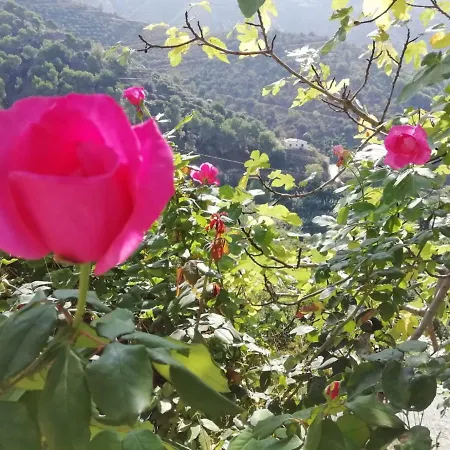 Holiday home Cortijo Buenavista