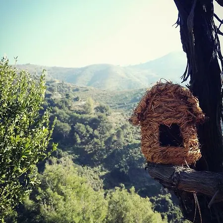 Cortijo Buenavista *