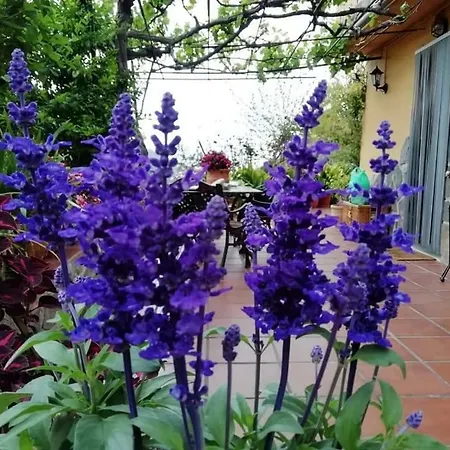 Сasa de vacaciones Cortijo Buenavista *