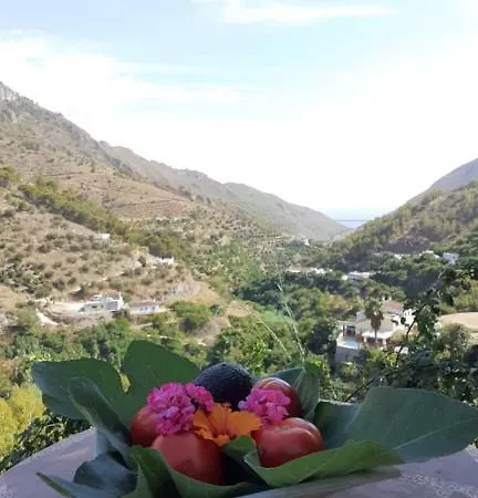 Cortijo Buenavista Сasa de vacaciones *