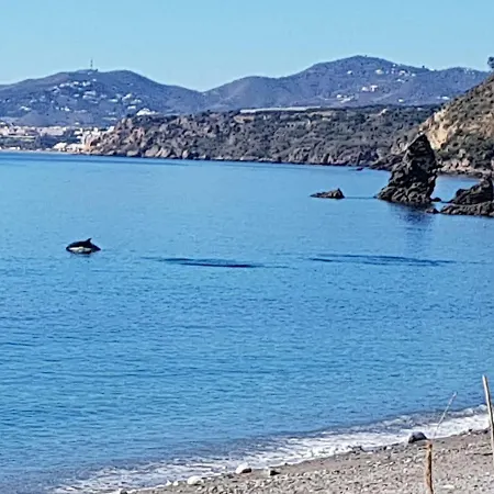 Cortijo Buenavista * Málaga