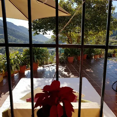 Cortijo Buenavista *